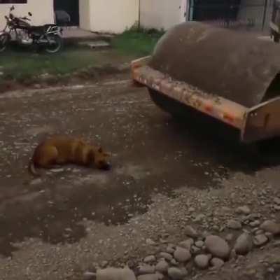 When you know that main characthers wont die