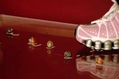 I have vids of women crushing in sneakers and boots, just message me if you’re interested.