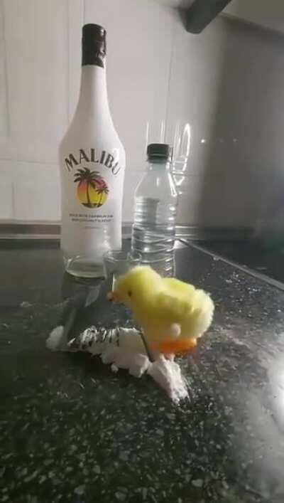 Cheryl had been clean for five years, but when she came home to find Gary in bed with both her father and her brother, all her self-control went out the window.