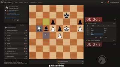 Brilliant win in opposite color bishop ending