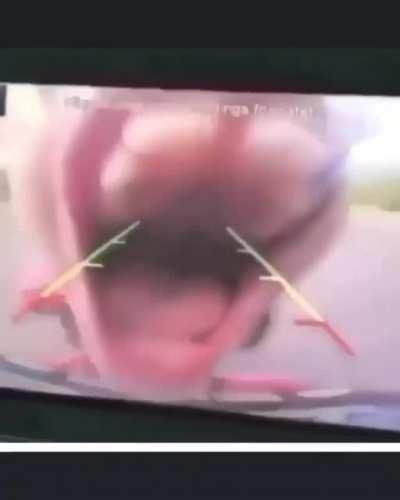 Mmm car camera tastes so gooood