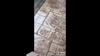 I too wield the power of dragon armour!1!!1