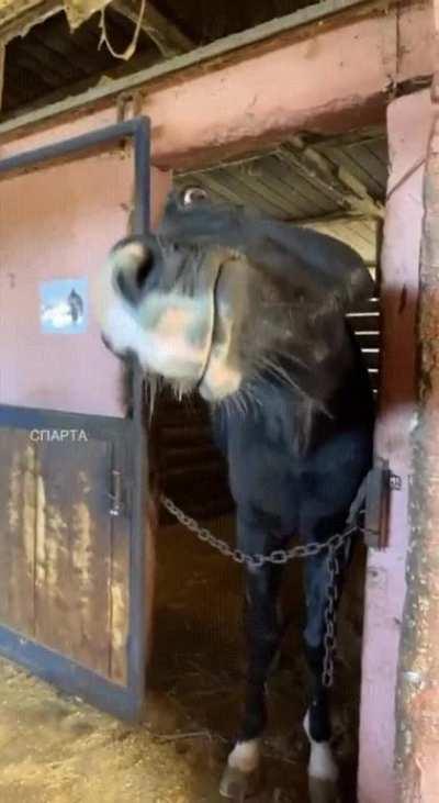 Whatcha lookin at..?