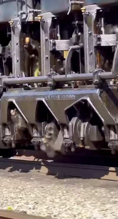 Bitch, check out my driveshaft.