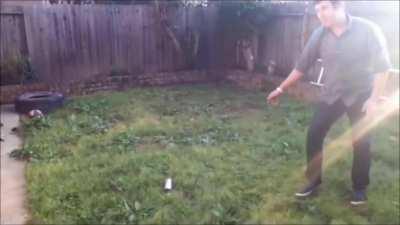 What could go wrong?