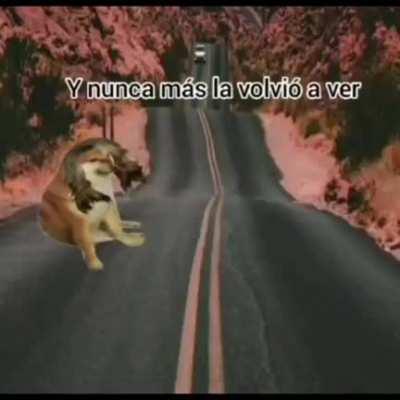 Yo no estoy llorando, vos estas llorando >:,(