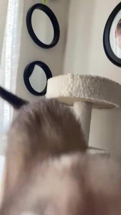 pov: you have salmon oil