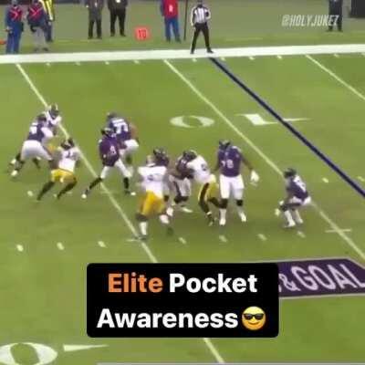 Madden's Cover Boy < Steelers Defense