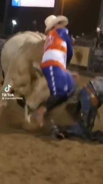 The bull will be giving rides.