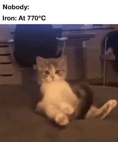 IRON CAT
