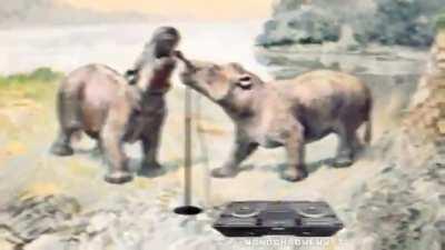 Definitely not for furry things