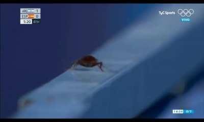 The Most Interesting Highlight of the 2021 Olympics