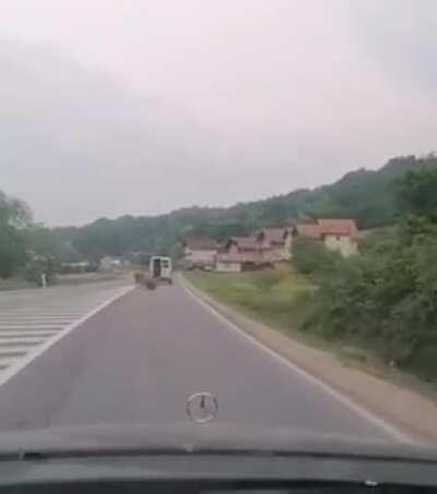 Hold on, a cow just fell out of the van