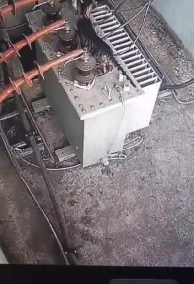 Get out if there, catto.... Sh*it