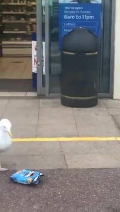 Arrest me brah!!! Didn't think so!!!