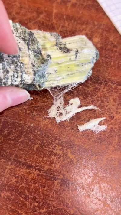 healthy natural snack yummy yummy in my tummy