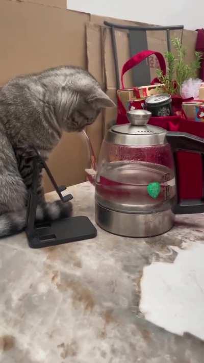 Лечебные процедуры.