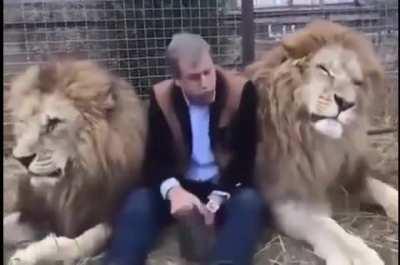 these cats are very naughty