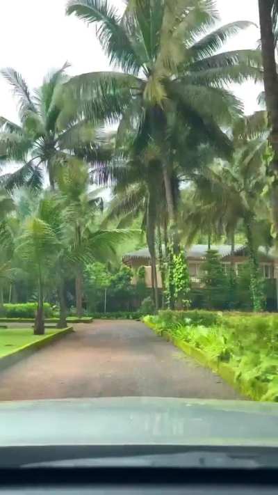 Barkha's Late Birthday Reel | August 16, 2025