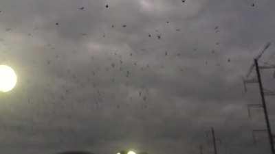 New Carrollton Station Friday morning haunting