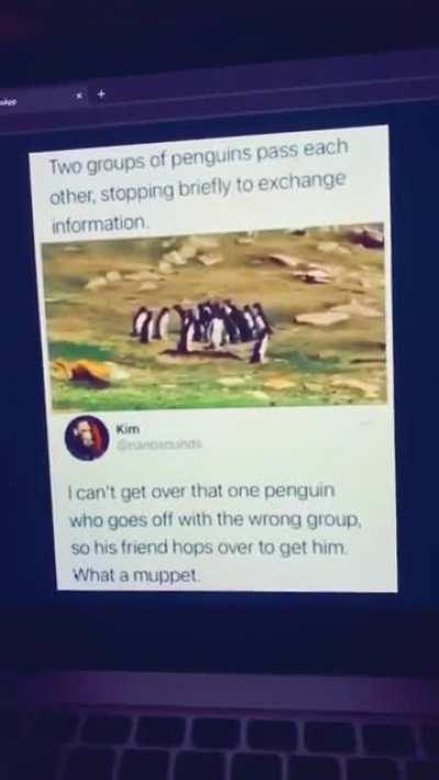 undercover FBI agents sharing information