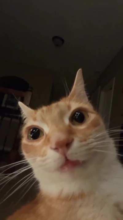 Do you have games on your phone? 