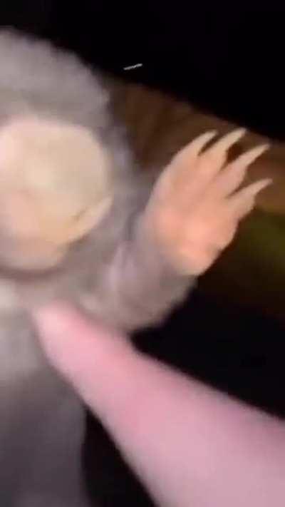 Bana cuando se cruza IRL con los toppers del chat.