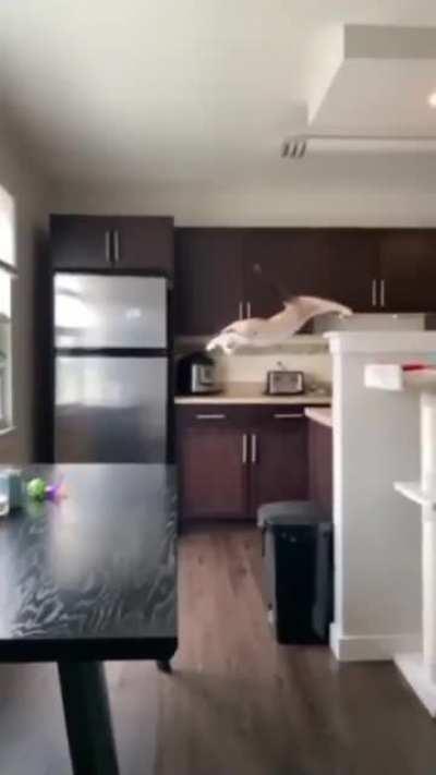 Somewhere….something went wrong…..