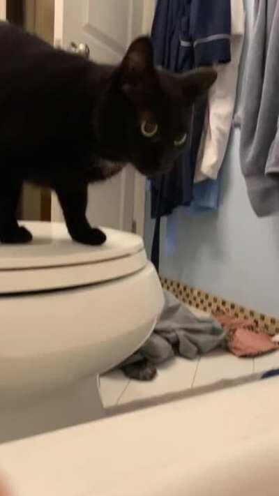 she hasn’t learned to use her inside voice even after 2 years