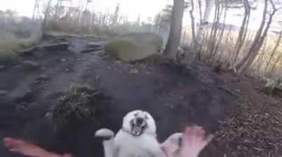 Playing patty cake with a wolf