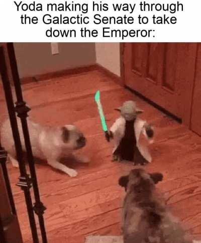 He's on ketamine, isn't he?