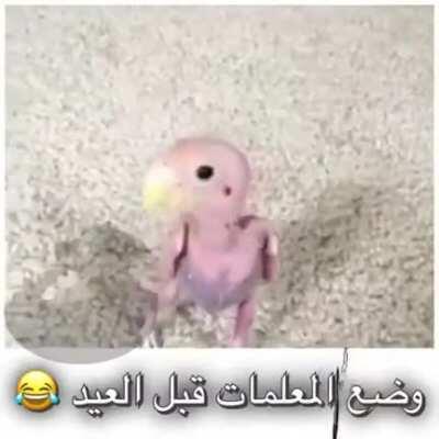 [Arabic < English] Found on a YouTube video with no context