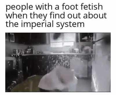 gay gay homosexual gay