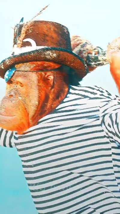 Koi dost banalo akela hu