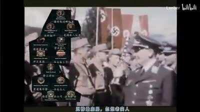 American TNO Fanbase: 