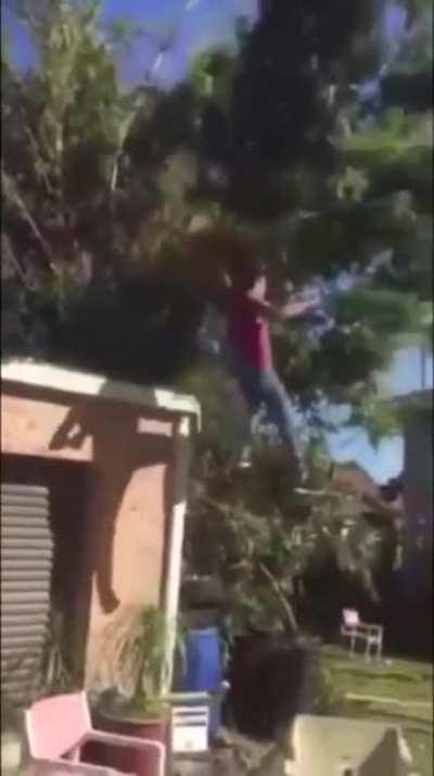 Man vs tree
