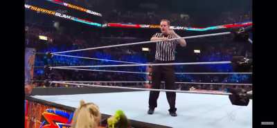 Natalya wedgies Naomi(summerslam 2017) 