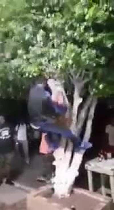 N.E.W. B.R.E.E.D. O.F. M.O.N.K.E.Y.