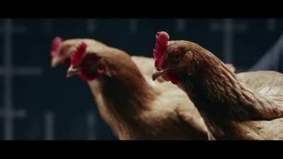 HODLING Longterm $10K