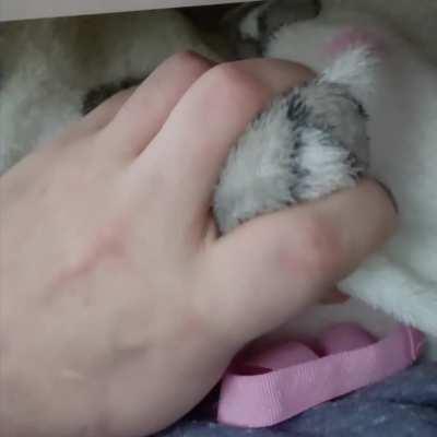 would you suck it? 🥺