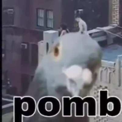 Pombo