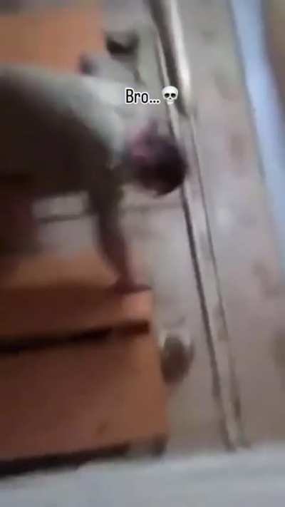 What was he even trying to do?