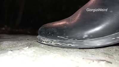 Crushed 2 snails for my bf