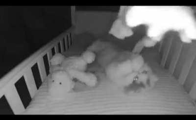 Cat sneaks in and is having a great time