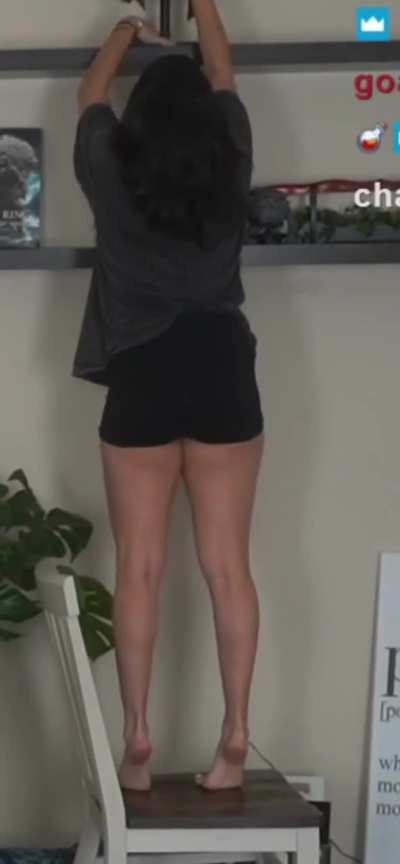 Cinna on a chair reaching for her top shelf - June 2024