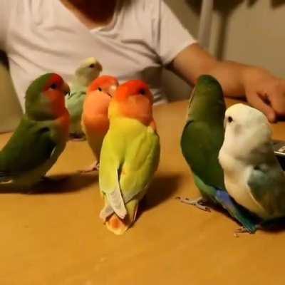 These cuties are having a debate about when bedtime is