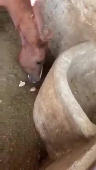 Well that's.... different...