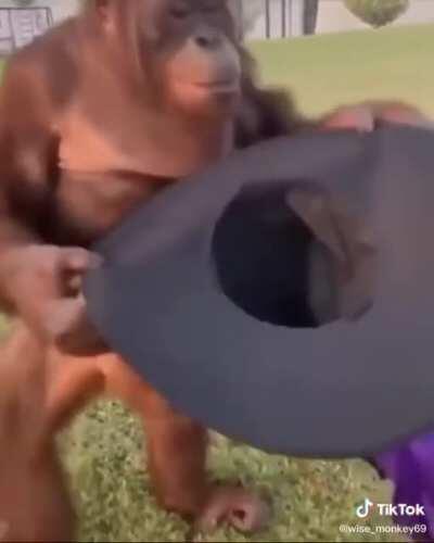 Yendo a pedirle a la gótica de clase que sea tu novia uwu