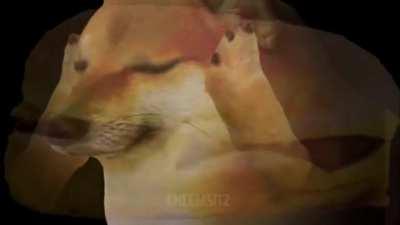 I really want burger