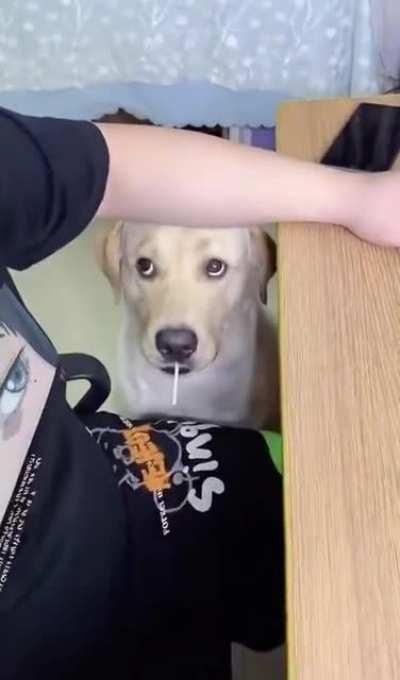 I want one..! Now what?